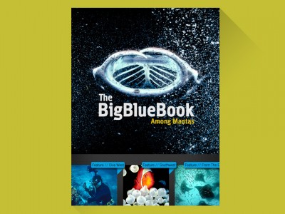 The Big Blue Book