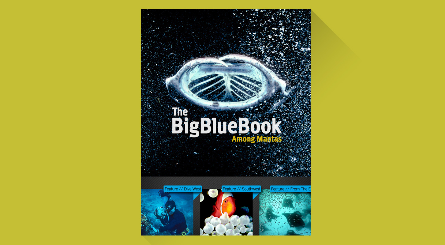 The Big Blue Book