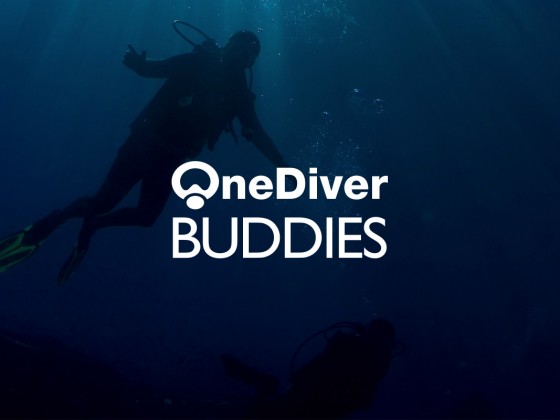 One Diver Buddies