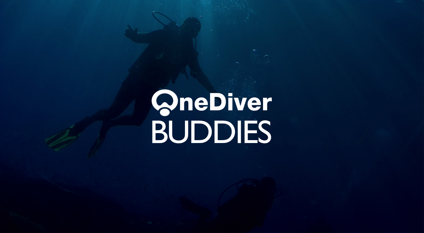 One Diver Buddies