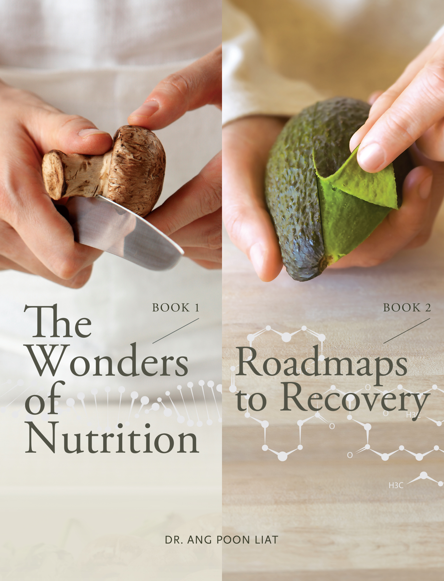 The Wonders of Nutrition