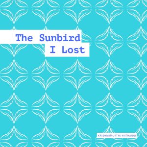 littleredcomma by Esplanade Offstage - The Sunbird I Lost